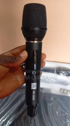 Professional Wireless Microphone