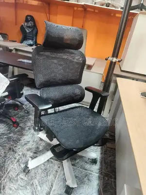 Ergonomic Office Chair With Foot Rest