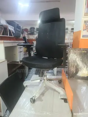 Ergonomic Md Office Chair