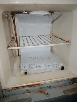 Big Fridge