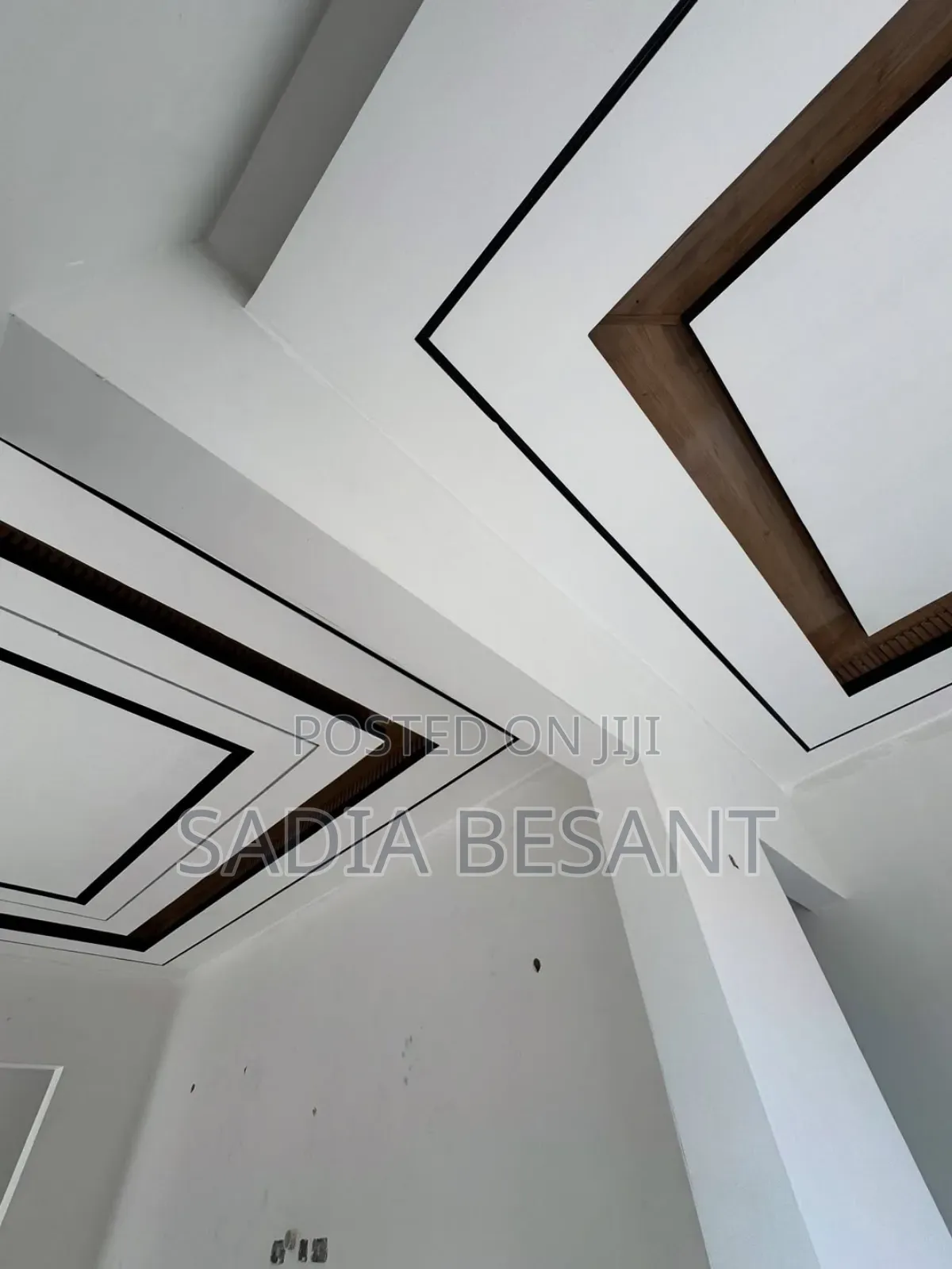 Architectural Ceiling Detail