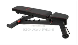 Powerblock 2.0 Adjustable Weight Lifting Commercial Bench Usa