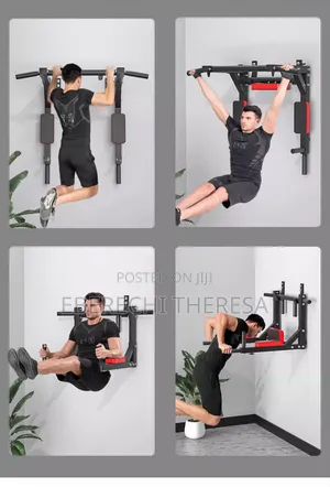 Wall Mounted Pull Up And Dip Station