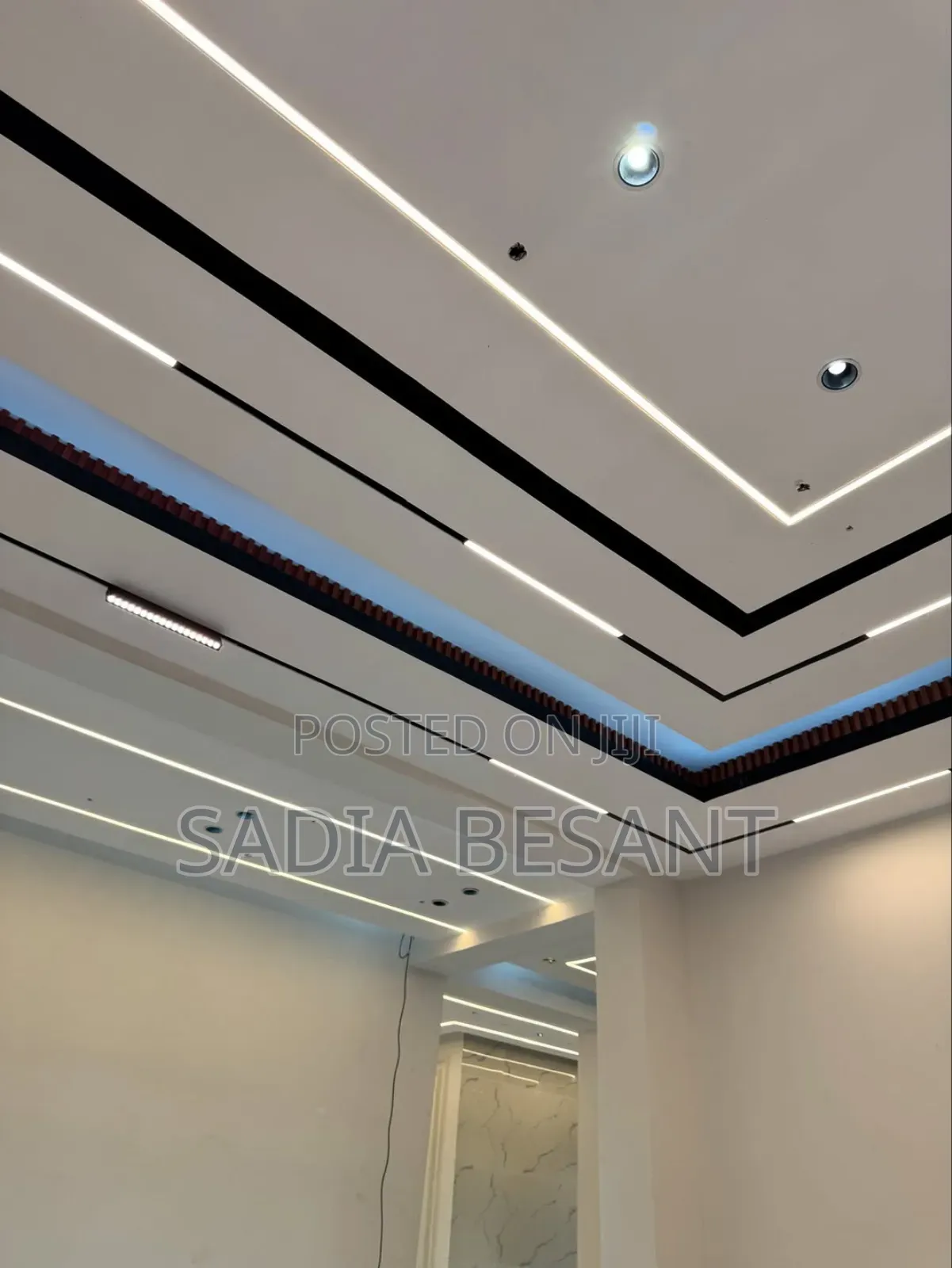 Elevate Your Ceiling