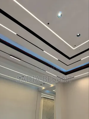Elevate Your Ceiling