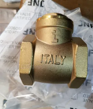 2" Italy Brass Check Valve (Non-Return Valve)