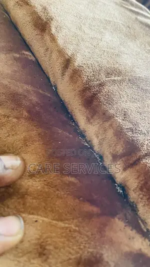 Irresistible Professional Fumigation Service