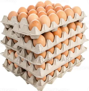 Fresh Egg in Crate
