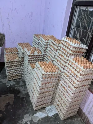 Fresh Egg in Crate