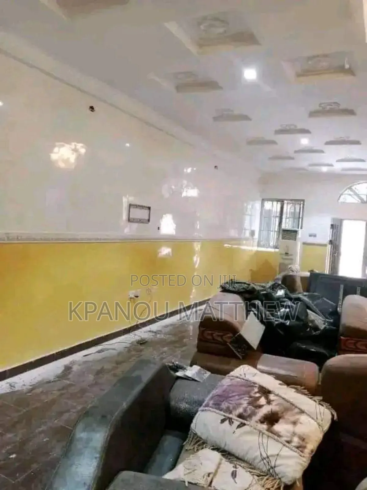 A Professional Painter