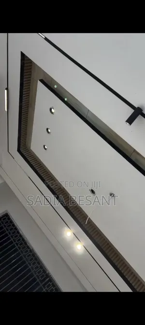 Gypsum Ceiling Project – Day 1