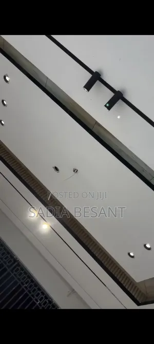 Ceiling Work in Progress
