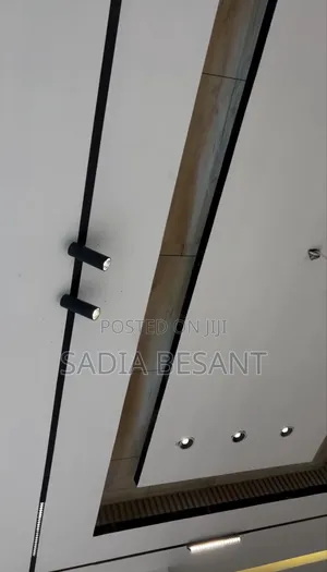 Ceiling Work in Progress