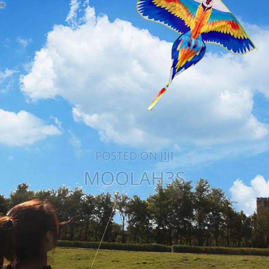Kites Colorful Eagle Kite