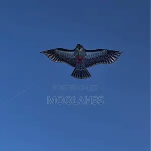 Kites 3d Owl Kite