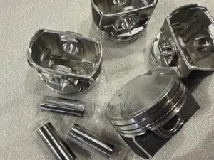 Maxus Piston and Rings
