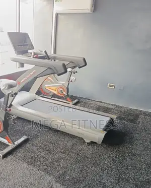 Heavy Duty 4hp Am Treadmill