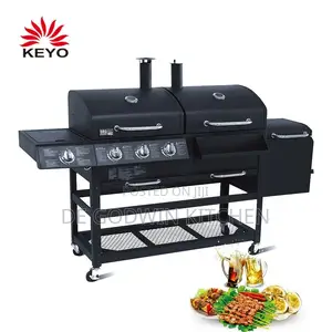 Charcoal & Gas Barbecue Grill