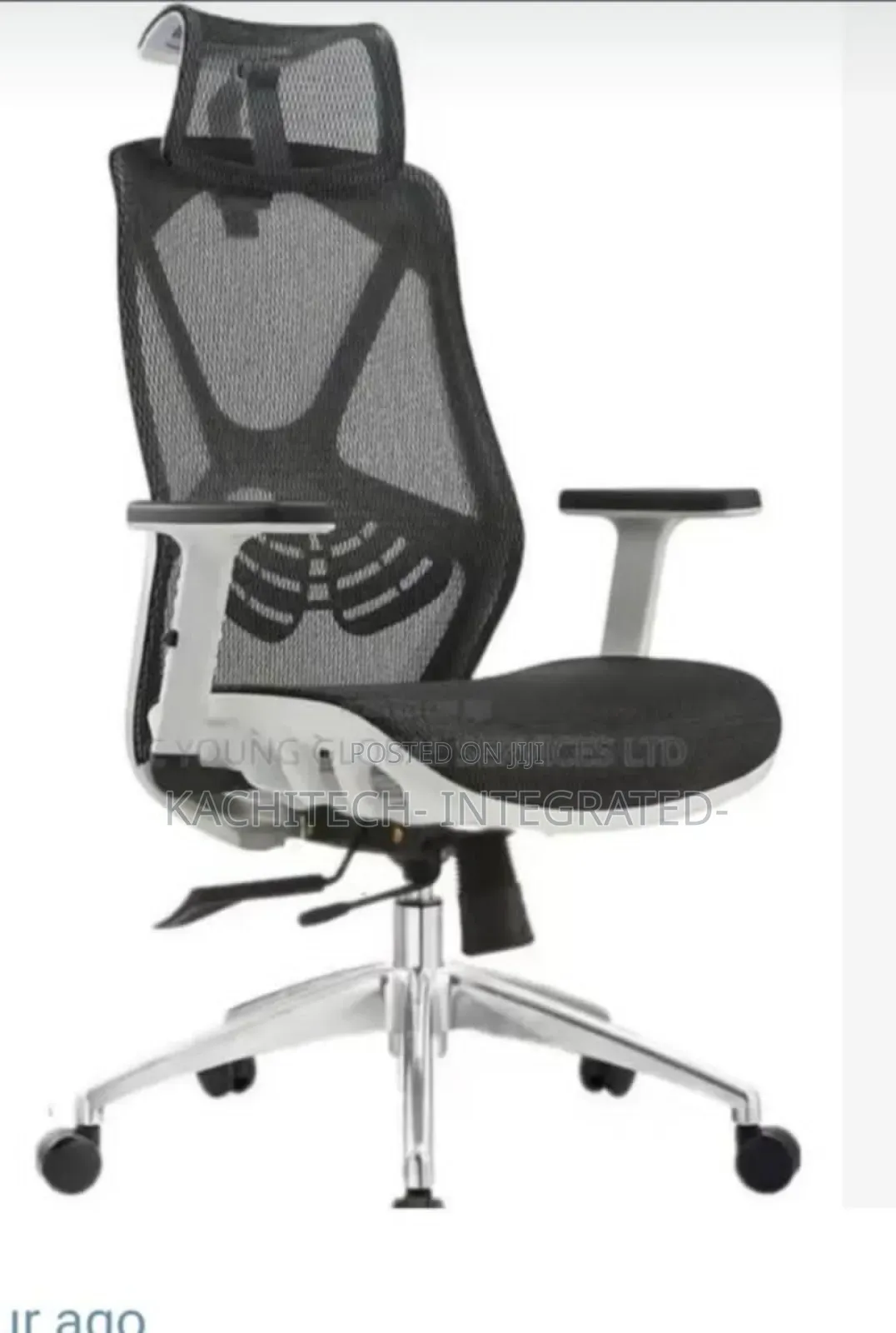 Executive Mesh Chair