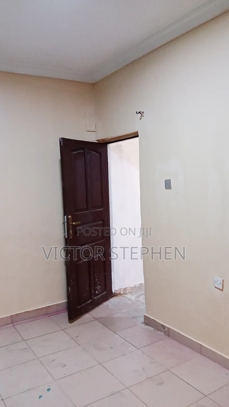 Professional House Painter