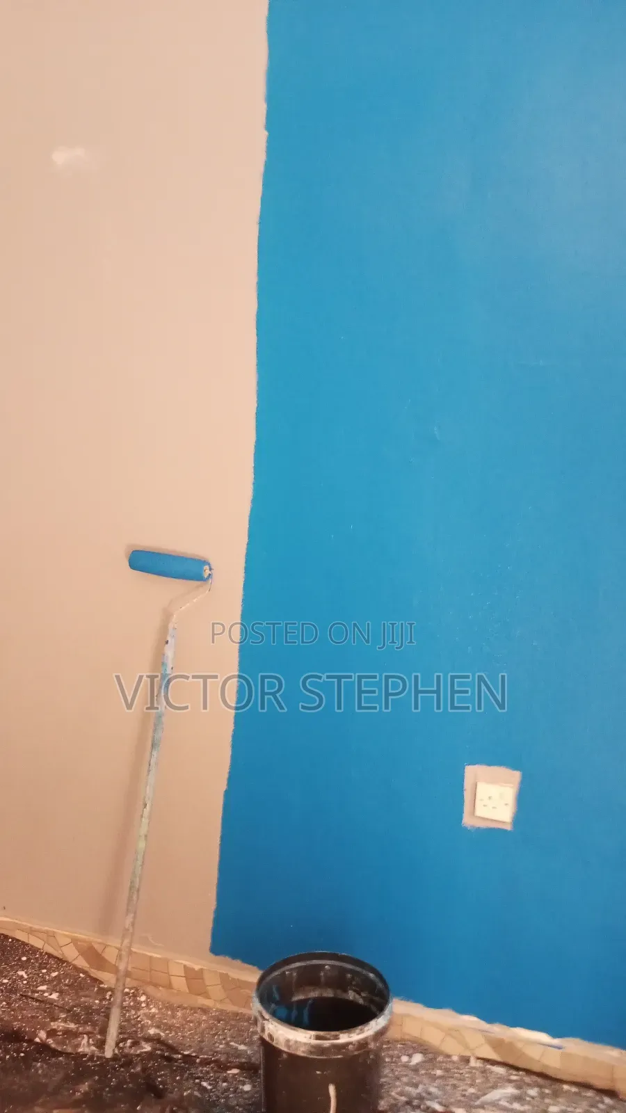Professional House Painter