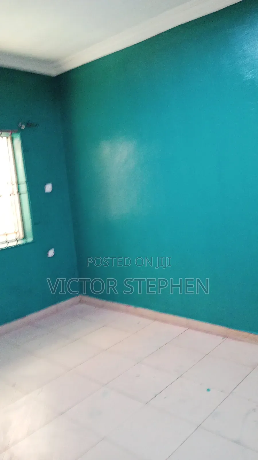 Professional House Painter