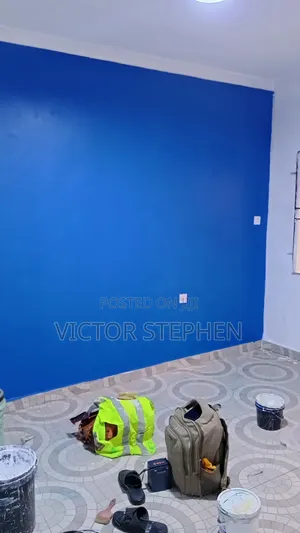 Professional House Painter