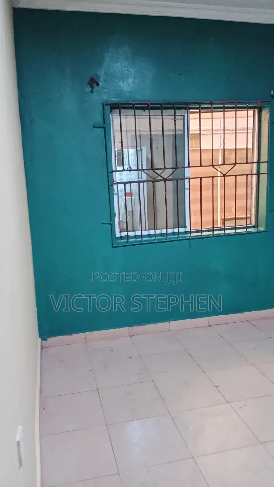 Professional House Painter