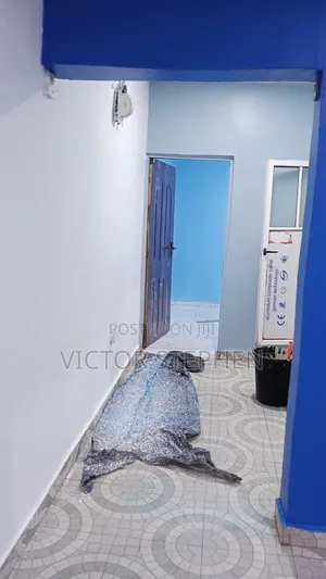 Painter House