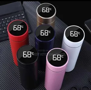 Temperature Water Flask