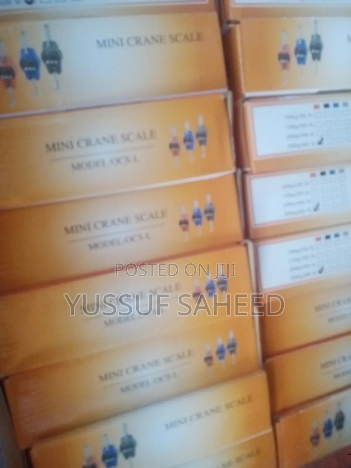 Mini Crane Scale 300kg
