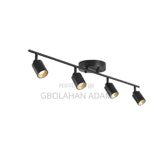 Gilded Rail Track Light