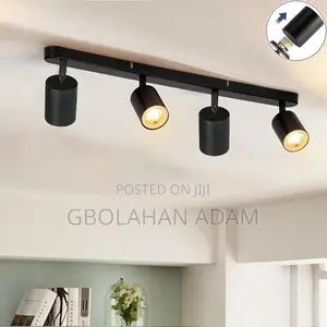 Gilded Rail Track Light