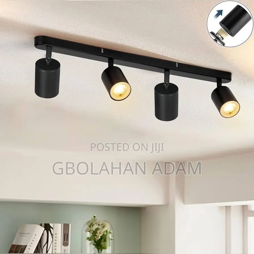 Gilded Rail Track Light
