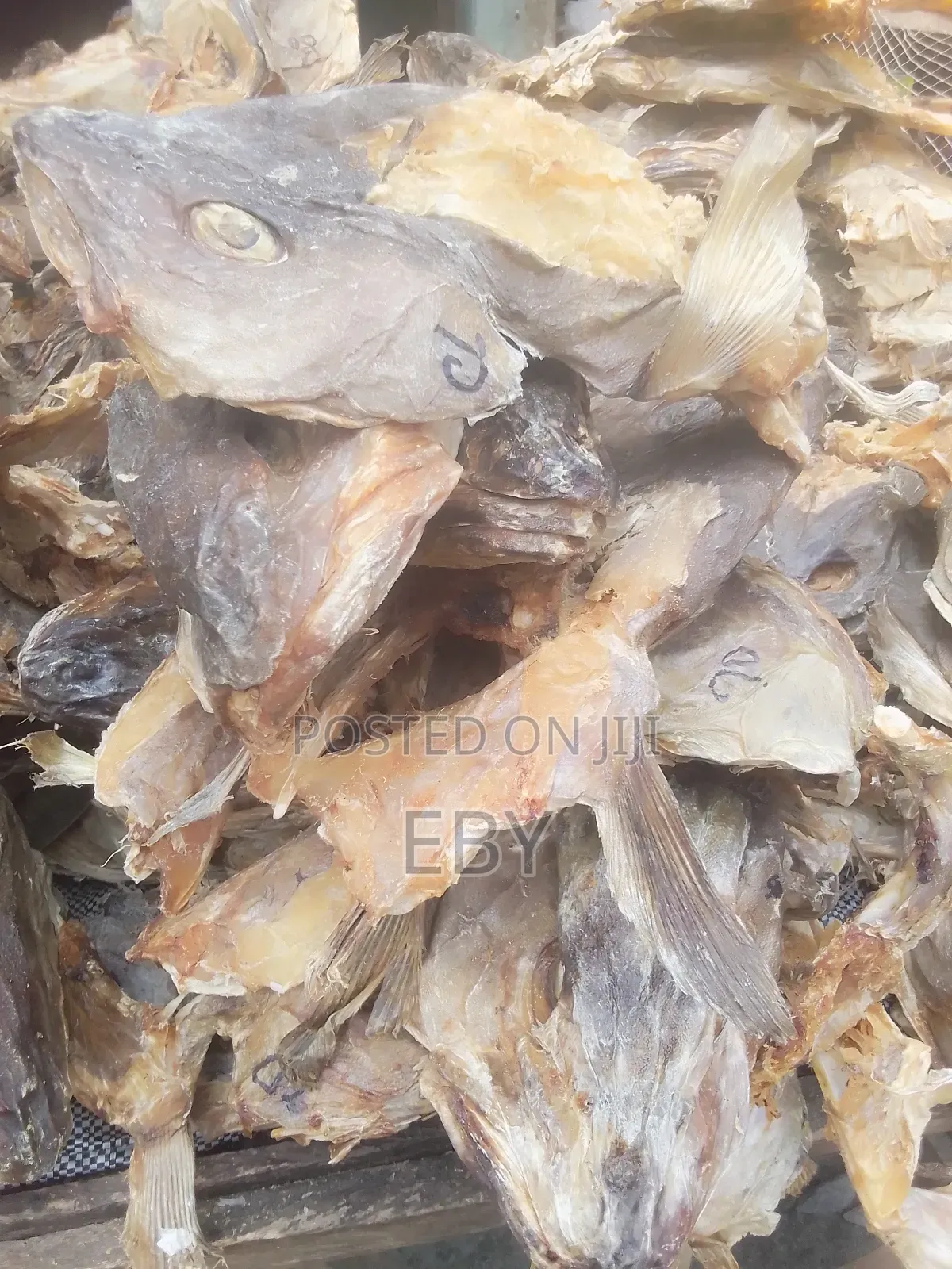 Oven Dried Snail and Periwinkle