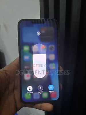 Apple iPhone 13 Pro Max 256 GB Blue