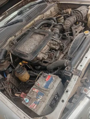 Nissan Terrano 2003 Silver