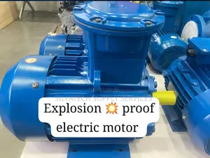 Explosion Proof Electric Motor