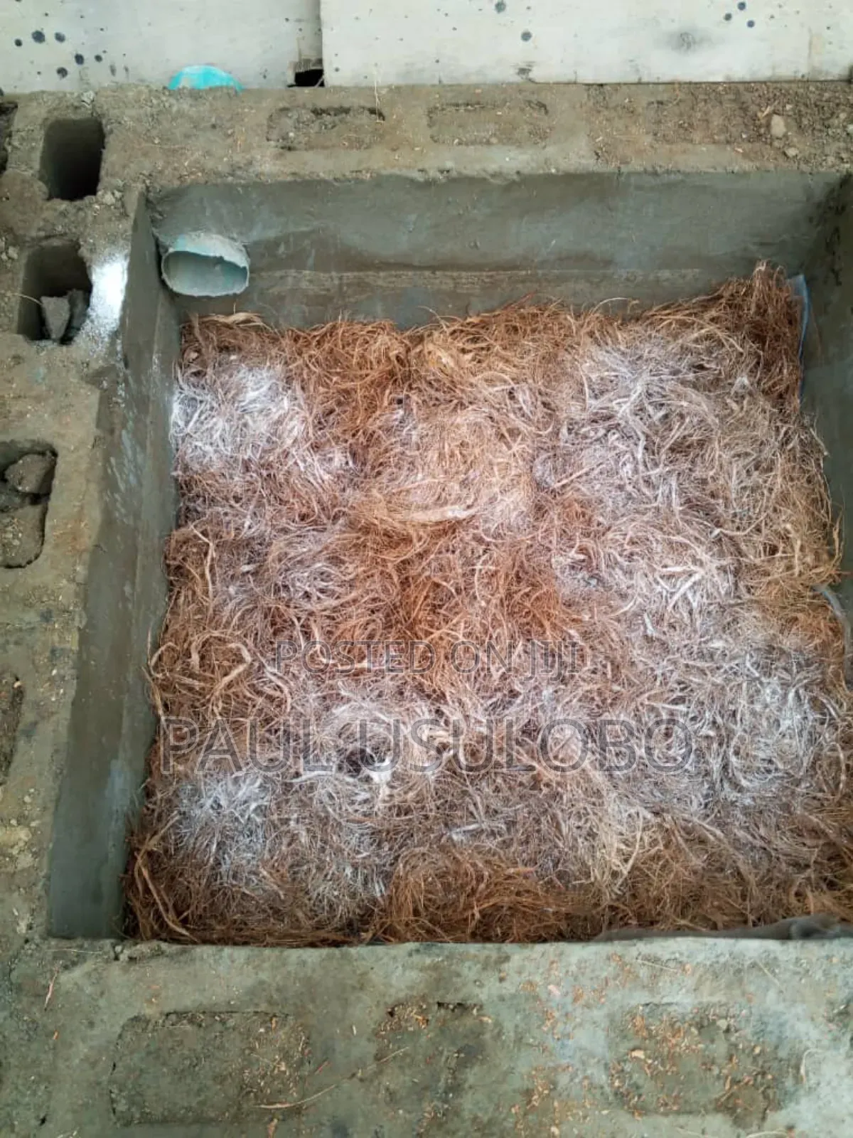 Biodigester