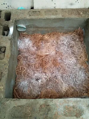 Biodigester