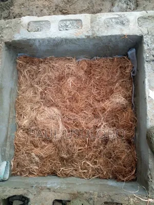 Biodigester