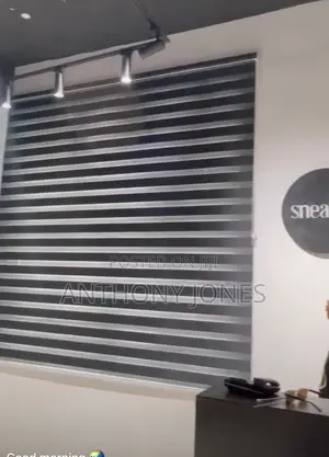 Window Blinds