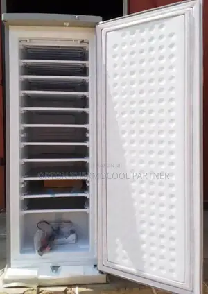 Bona Upright Solar Inverter Freezer