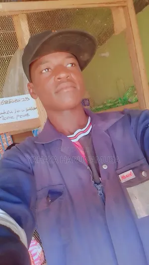 Yahaya Haruna