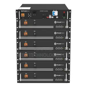 Lithium Iron Battery (Pylontech H48050 48v Battery) 50ah