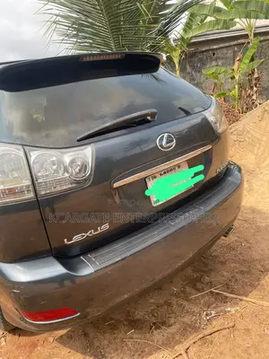 Lexus RX 2006 Brown