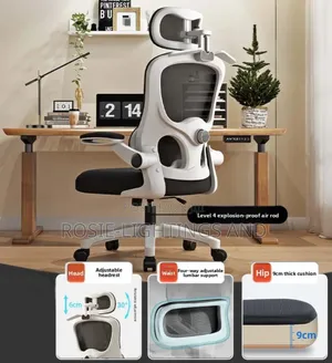 Egornomic Swivel Mesh Office Chair With Headrest - Black and White