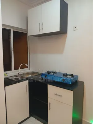 A Mini L Shaped Kitchen Cabinets