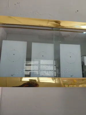 Starlink Mesh Router Network