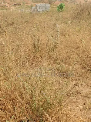 Boulevard Estate Apo Wasa